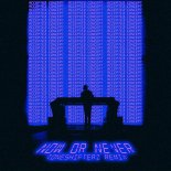 Will Sparks Feat. Sara Phillips - Now Or Never (Toneshifterz Extended Remix)