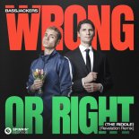 Bassjackers - Wrong or Right (The Riddle) (Revelation Extended Remix)