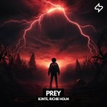 B3nte & Richie Holm - Prey (Full 20Khz)