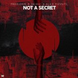 Prezioso & Shibui Feat. Alex Pizzuti - Not A Secret