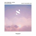 Sam Wiseman & Karim Feat. Idun Nicoline - What We Never Had