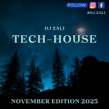 Dj.Zali - Tech-House November Edition 2023