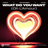 71 Digits & Bodybangers Feat. Lotus - What Do You Want (Oh L'Amour) [Stutter Techno]