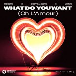 71 Digits & Bodybangers Feat. Lotus - What Do You Want (Oh L'Amour) [Stutter Techno] (Extended Mix)