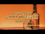 Bartosz Jagielski - Zimna Wódeczka (Shandy Remix)