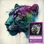 Blackcode & David Allen Feat. MDM Music - Come Get It (Extended Mix)