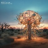 MAKJ & TJR - Concentrate