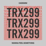 CASSIMM - Wanna Feel Something (Extended Mix)