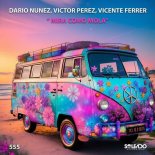 Dario Nunez, Victor Perez, Vicente Ferrer - Mira Como Mola (Original Mix)