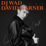 DJ Wad Feat. David Garner - C'est Entre Eux