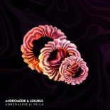 Andromedik & Lexurus Feat. Nu-La - Adrenaline