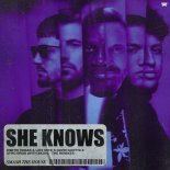 Dimitri Vegas & Like Mike, David Guetta, Afro Bros with Akon - She Knows (Freejak Extended Remix)