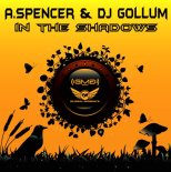 DJ Gollum & A Spencer - In the Shadows (T-Boy Bootleg Remix)