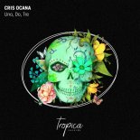 Cris Ocana - Uno, Do, Tre (Extended Mix)