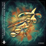 Thomas Newson, Tom & Collins, Pave - Serena (Sllash & Doppe Extended Remix)