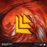 Broken Frequency Feat. MC Roga - Can You Hear Me (Extended Mix)