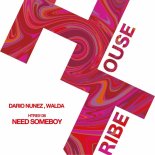 Dario Nunez, WALDA - NEED SOMEBODY (Extended Mix)