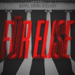 Alfons & Amero Feat. Hallasen - Fuer Elise