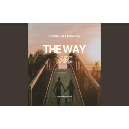 Consilium - The Way I Are (Techno Remix)