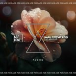 Nari, Steve Tosi - The Groove (Original Mix)