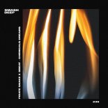 Pirate Snake & 3Beat - ChemicaLS Dreams (Extended Mix)