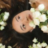 Coming Up Roses - Don't Let It Break Your Heart