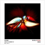 PASINDU - Circle of Harmony (Kay-D Remix)