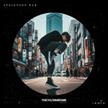 Spacefunk Dub - Innyo (Extended Mix)