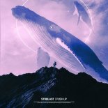 STRBLAST - Push Up (Extended Mix)
