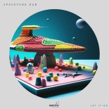Spacefunk Dub - Let It Go (Extended Mix)
