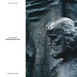 Luca Maniaci - Numb3rs