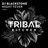 DJ Blackstone - Night Fever (Extended Mix)