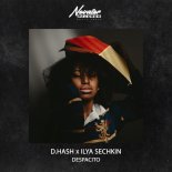 D.Hash feat. ILYA SECHKIN - Despacito