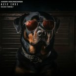 Aziz (US) - Release Yourself (Extended Mix)