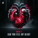 Dimitri K - Can You Feel My Heart