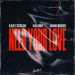 Ilkay Sencan & KALUMA Feat. Adam Woods - Need Your Love