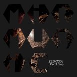 Zeskodj - La Fiesta Triste (Original Mix)