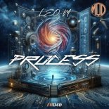Leo-M - Process
