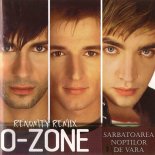 O-Zone - Sarbatoarea Noptilor De Vara (Renomty Remix)