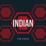 Tom Brook - Indian (Radio Edit)