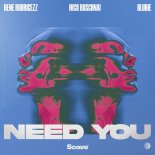 Rene Rodrigezz, Nico Roschnai, BLURIE - Need You