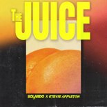 Solardo ^ Stevie Appleton - The Juice (Extended Mix)