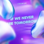 Fragile - If We Never See Tomorrow (Extended Mix)