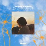 Saco feat. Liz Beekman - Not Looking For You