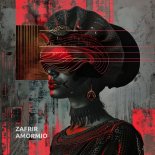 Zafrir - Amormio (Original Mix)