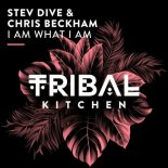 Stev Dive, Chris Beckham - I Am What I Am (Extended Mix)
