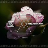 Nari, Steve Tosi - Street Carnival (Original Mix)