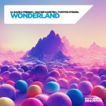 DJ Sakin & Friends feat. Van Der Karsten & Torsten Stenzel - Wonderland