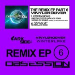 Vinylgroover & Darkside thc Feat. Winterlake - Hands Up (Winterlake Extended Remix)