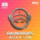Alex K Feat. Gia - Raindrops